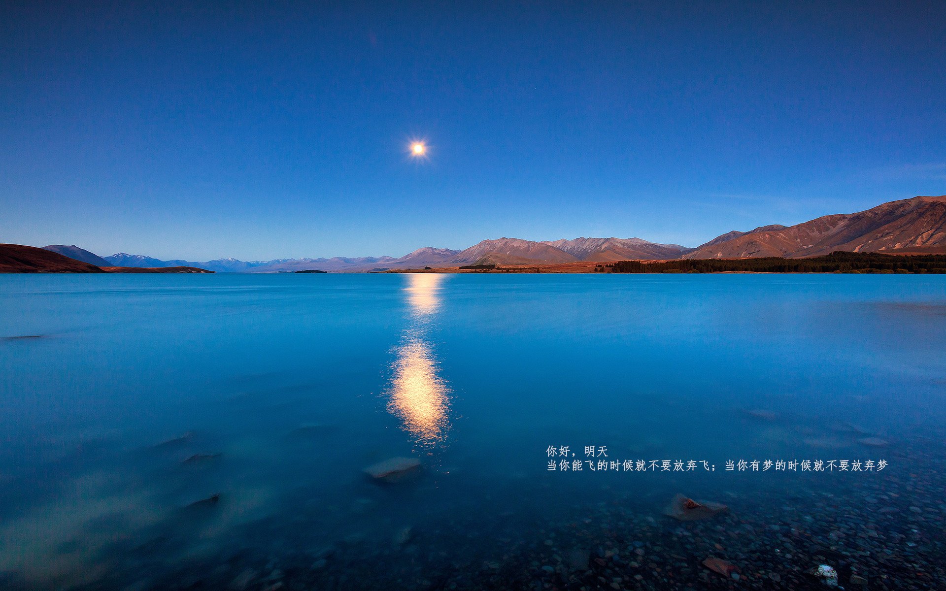 九游(jiuyou)官方网站-史上最年轻“冠军射手”的崛起之路，最年轻的射箭冠军